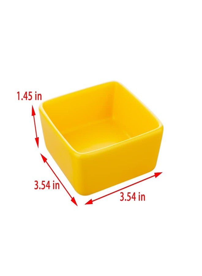 DQITJ 2 Pcs Pet Ceramic Food Bowl and Water Dish Feeder for Guinea Pig Hedgehog Squirrel Small Animals - Image 4